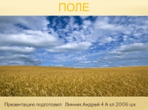 Четвертое поле. Поле для презентации. Поле 4 класс. Проект на тему поле. Поля в проекте.