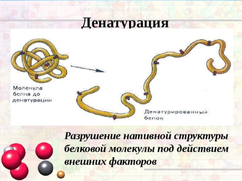 Денатурация белка схема