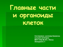 Главные части и органоиды клеток 9-10 класс