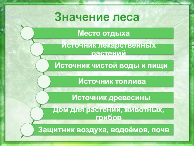 Значение леса. Схема значение леса. Значение леса таблица. Значение леса в природе и жизни человека.