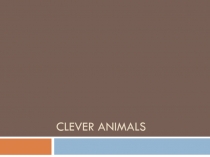 Урок-игра Clever animals