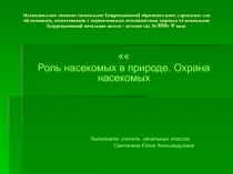 Роль насекомых в природе. Охрана насекомых 3 класс