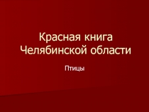 Красная книга Челябинской области. Птицы 4 класс