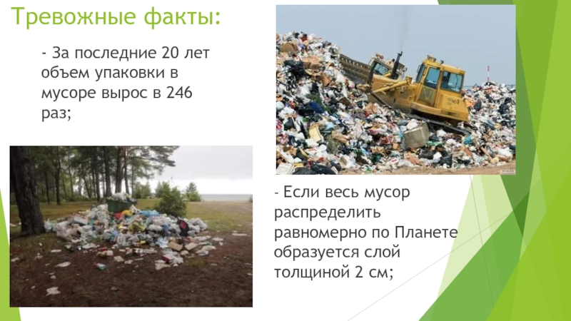 Проблема экологии факты. Интересные факты о мусоре. Факты о мусоре для детей. Факты о мусоре и экологии.