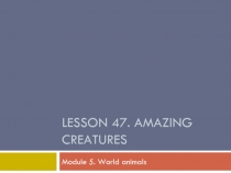 Amazing Creatures 5 класс