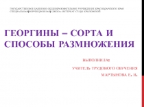 Георгины - сорта и способы размножения 9 класс