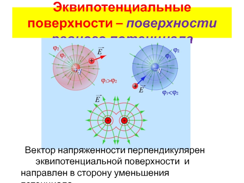 На рисунке показаны эквипотенциальные линии системы зарядов и значения потенциала на них вектор