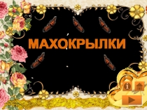 Махокрылки 2 класс