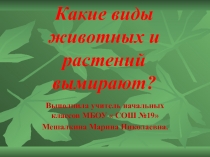 Какие виды животных и растений вымирают? 4 класс