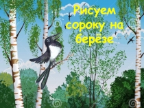 Рисуем сороку на берёзе