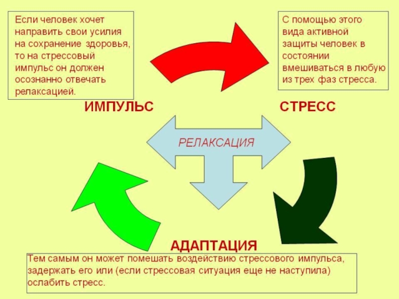 Здоровье и адаптация презентация