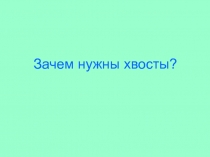 Зачем нужны хвосты?