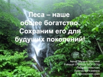 Леса - наше общее богатство. Сохраним его для будущих поколений! 10 класс