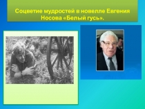 Презентация к уроку 