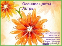 Осенние цветы. Астры