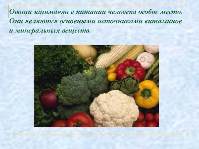 Овощи в питании человека 5 класс технология презентация