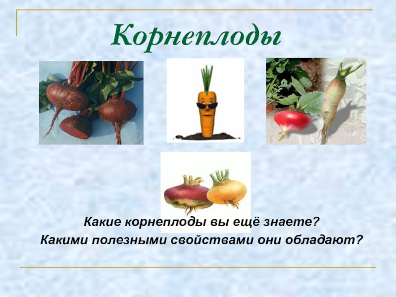 Корнеплоды список с картинками