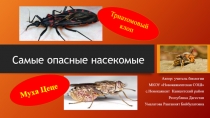 Самые опасные насекомые