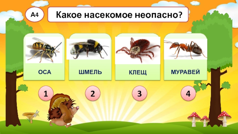 Тест окружающий мир 2 класс лесные опасности. Опасные насекомые для детей. Опасные насекомые в лесу. Опасные Лесные насекомые 2 класс. Какое насекомое неопасно Оса Шмель клещ муравей.