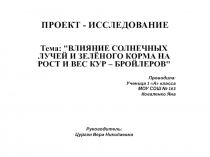 Исследовательская работа 