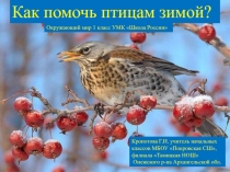 Как помочь птицам зимой? 1 класс УМК Школа России