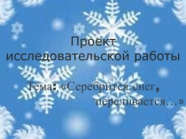 Проект исследовательской работы 