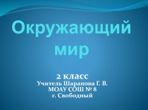 Невидимые нити в осеннем лесу 2 класс