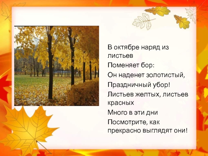 В октябре наряд из листьевПоменяет бор:Он наденет золотистый,Праздничный убор!Листьев желтых, листьев красныхМного в эти дниПосмотрите, как прекрасно