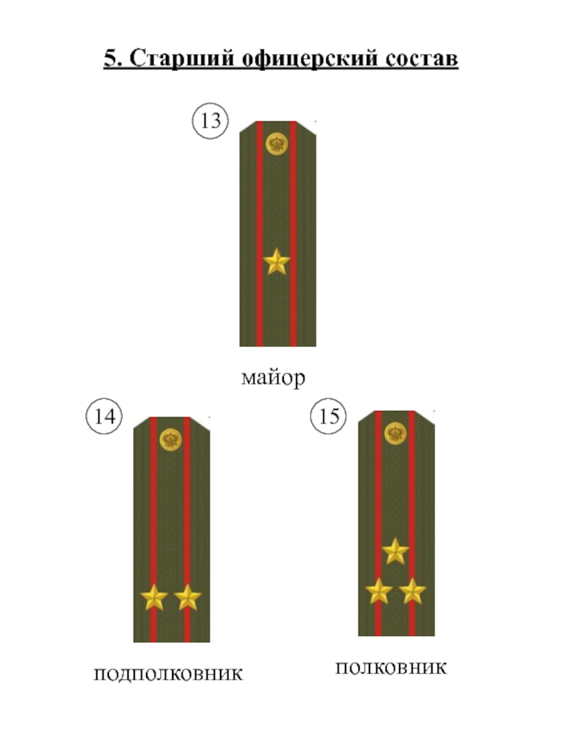 Срок от подполковника до полковника. Майор старший офицерский состав. Майор подполковник звания. Полковник звание. Майор лейтенант полковник.
