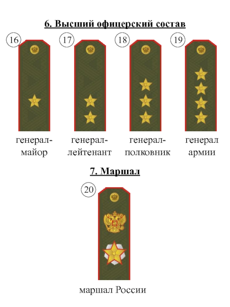 Офицерские звания. Генерал майор лейтенант полковник. Погоны высших офицеров армии РФ. Чины армии РФ высший офицерский состав. Майор старший офицерский состав.