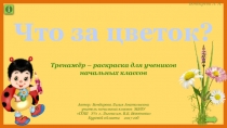 Тренажёр-раскраска для учеников начальных классов 