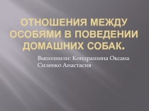 Отношение между особями в поведении домашних собак