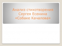 Анализ стихотворения Сергея Есенина Собаке Качалова 7 класс