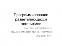 Программирование разветвляющихся алгоритмов