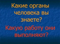 Презентация по окружающему миру 