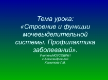 Строение и функции мочевыделительной системы. Профилактика заболеваний 8 класс