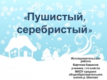 Пушистый серебристый