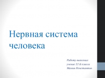 Нервная система человека 11 класс