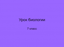 Кольчатые черви. Общая характеристика типа Кольчатые черви 7 класс