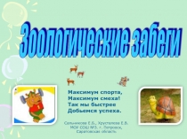 Зоологические забеги 2 класс