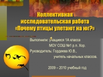 Почему птицы улетают на юг? 1 класс