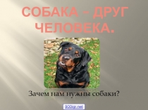 Собака - друг человека 2 класс