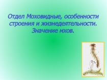 Отдел Моховидные, особенности строения и жизнедеятельности 7 класс