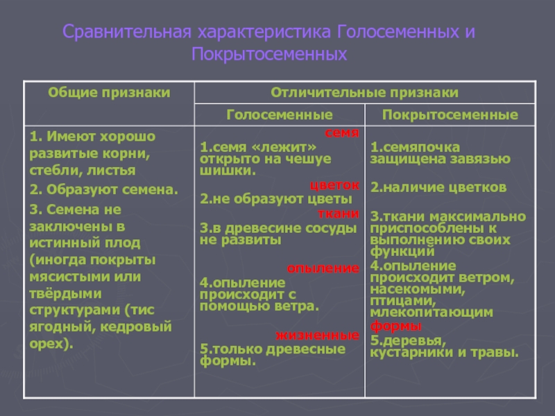 Голосеменные покрытосеменные таблица примеры