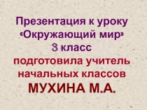 Презентация к уроку окружающего мира 