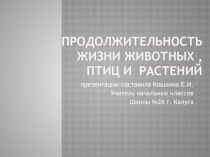 Продолжительность жизни животных, птиц и растений 1 класс