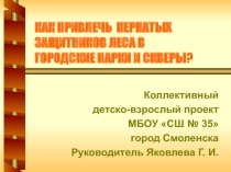 Как привлечь пернатых защитников леса в городские парки и скверы?