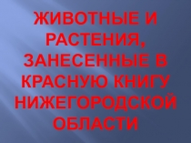 Растения и животные, занесенные в Красную книгу Нижегородской области 1 класс