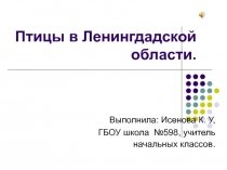 Птицы в Ленингдадской области