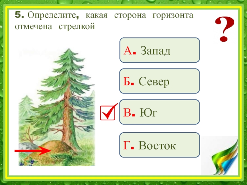 Окружающий мир 2 класс ориентироваться